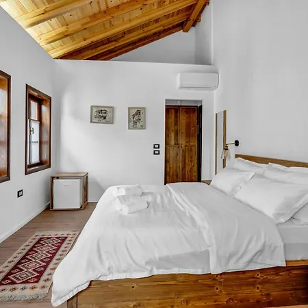 Meri Hotel *